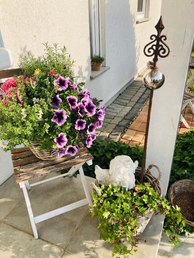 Das Ferienhaus-Zurueck Zum Ursprung 居辛 外观 照片